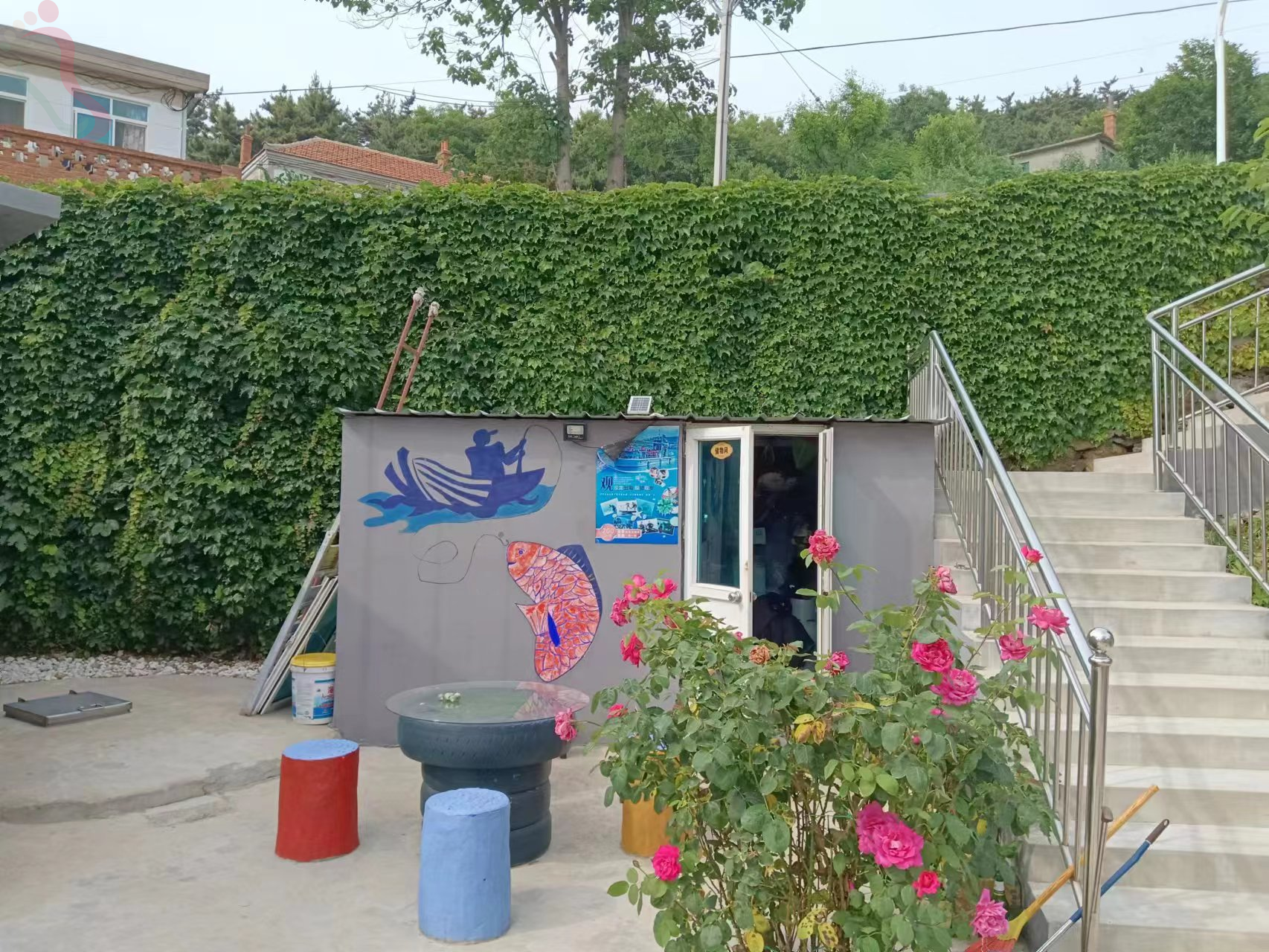 辽宁大连长海獐子岛常相聚渔家民宿-大连旅游长海渔家獐子岛民宿海岛游民宿 - 图片4