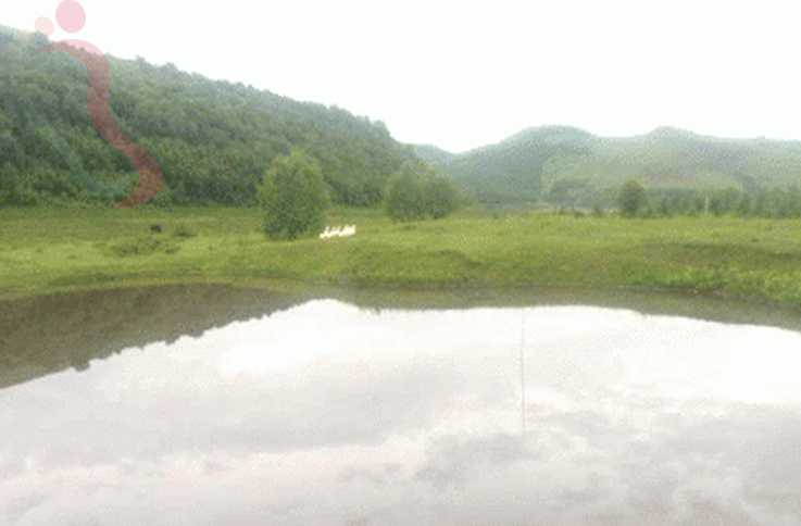 河北承德丰宁满族自治县孤石军马场高家大院 - 周边游玩