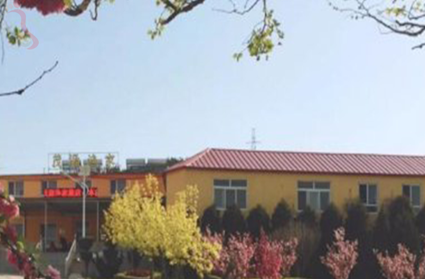 辽宁大连长海獐子岛茂源渔家乐 - 图片1