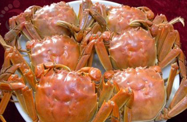 辽宁大连长海县东戴河胡氏旅店 - 餐饮介绍