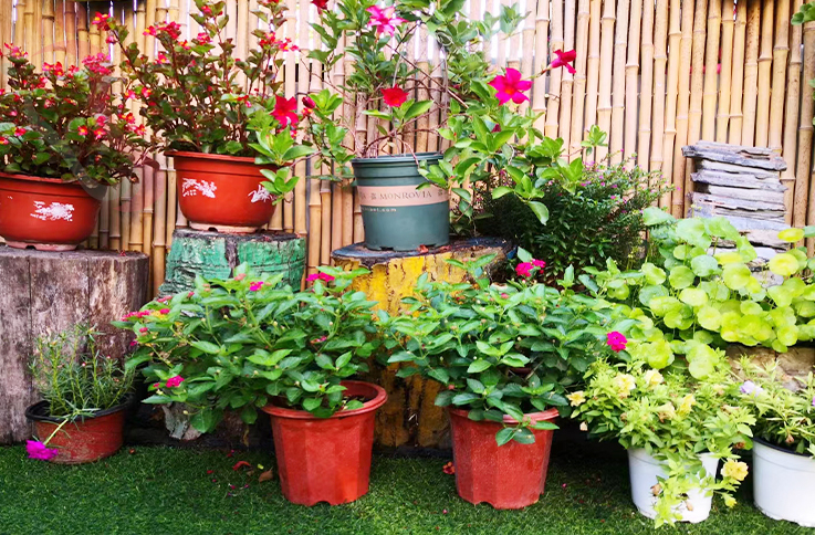 北京房山民宿十渡红梅小院-北京旅游房山农家院十渡民宿京郊游目的地 - 图片8