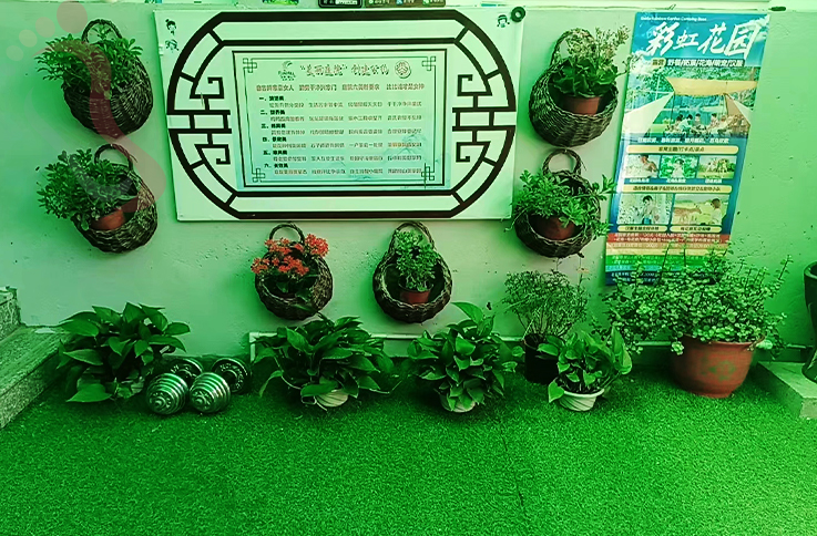 北京房山民宿十渡红梅小院-北京旅游房山农家院十渡民宿京郊游目的地 - 图片5