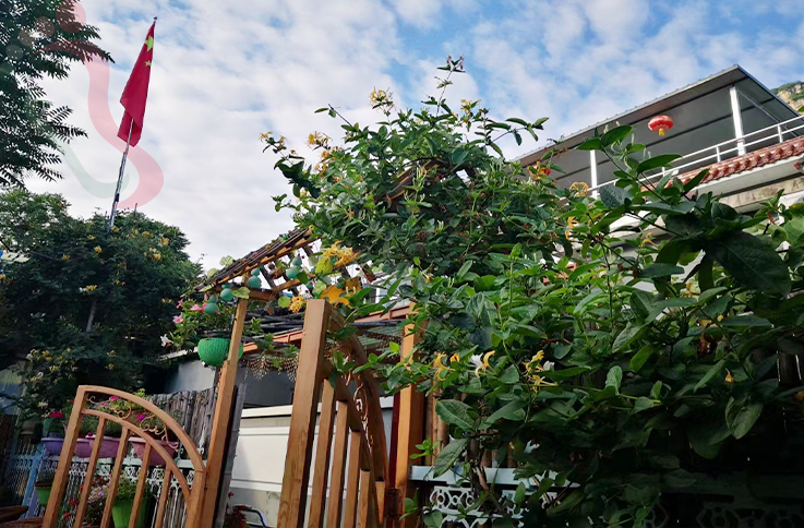 北京房山民宿十渡红梅小院-北京旅游房山农家院十渡民宿京郊游目的地 - 图片3