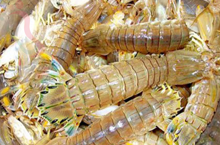 东戴河聆涛小筑度假村 - 餐饮介绍