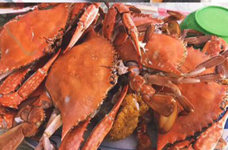 东戴河碣石宾馆 - 餐饮介绍