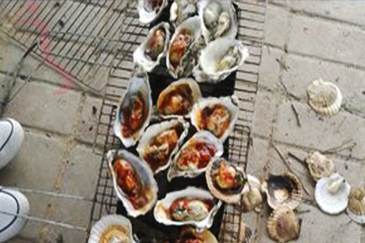 辽宁大连庄河市海王九岛海滨度假村 - 餐饮介绍