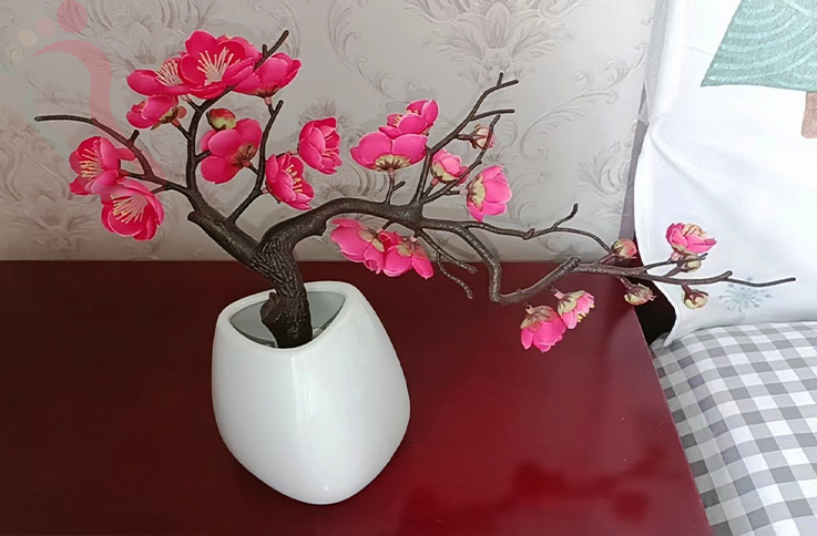 北京房山民宿十渡红梅小院-北京旅游房山农家院十渡民宿京郊游目的地房间图片3