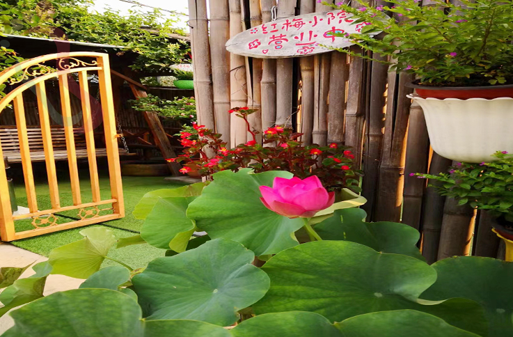 北京房山民宿十渡红梅小院-北京旅游房山农家院十渡民宿京郊游目的地 - 图片2