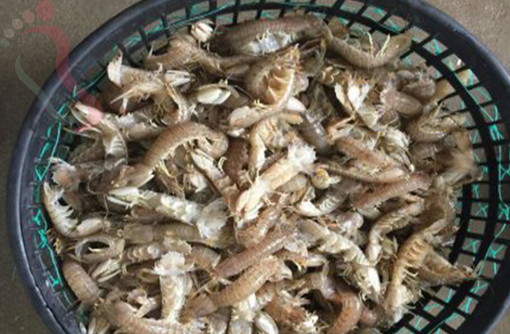 东戴河海趣渔家院 - 餐饮介绍