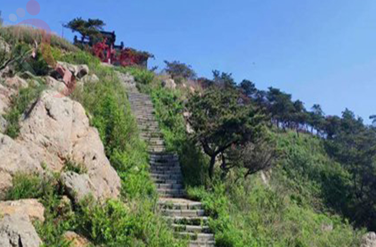 黑岛莎莎农家院 - 图片3