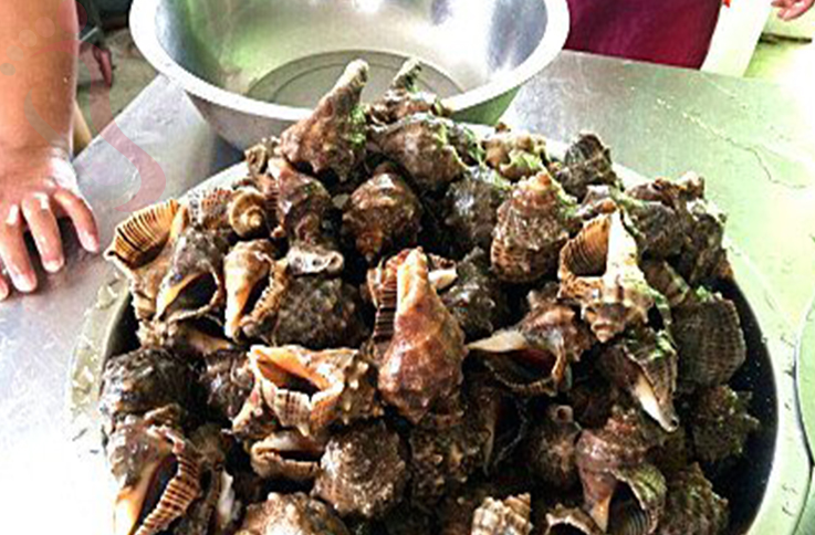 东戴河海趣渔家院 - 图片4