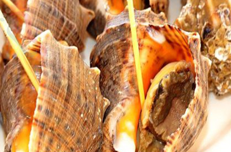 东戴河海边农家院 - 图片2