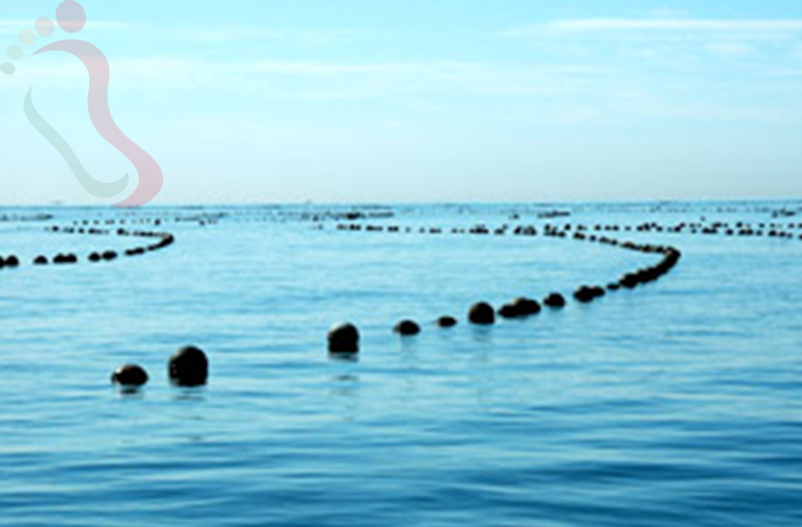 东戴河宇萌渔家院 - 图片5