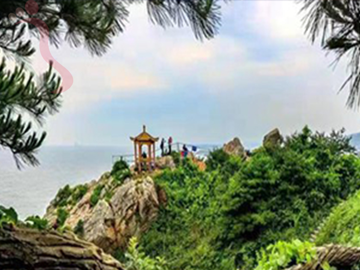 黑岛张老师农家院 - 周边游玩