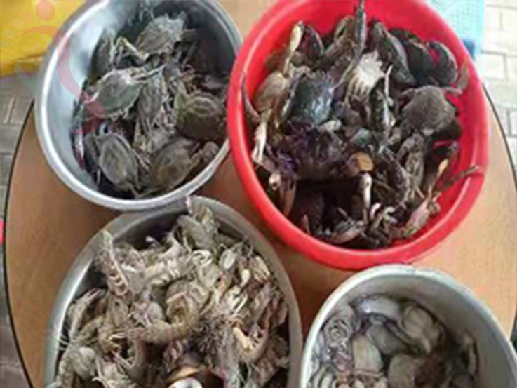 黑岛张老师农家院 - 餐饮介绍