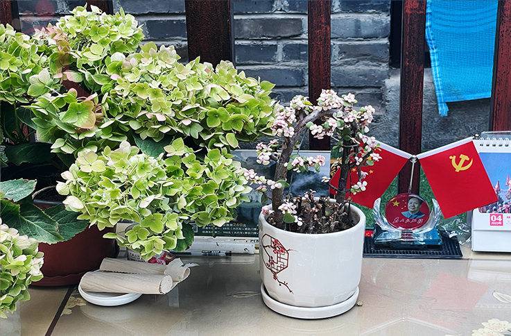 天津蓟县民宿梨木台聚闲居农家民宿-蓟县旅游九山顶农家院梨木台民宿 - 图片6