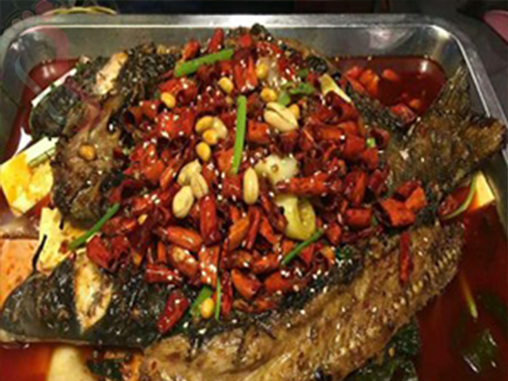 黑岛张老师农家院 - 餐饮介绍