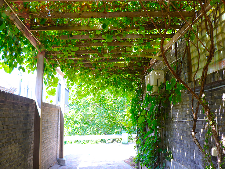 天津蓟县民宿梨木台聚闲居农家民宿-蓟县旅游九山顶农家院梨木台民宿 - 图片3