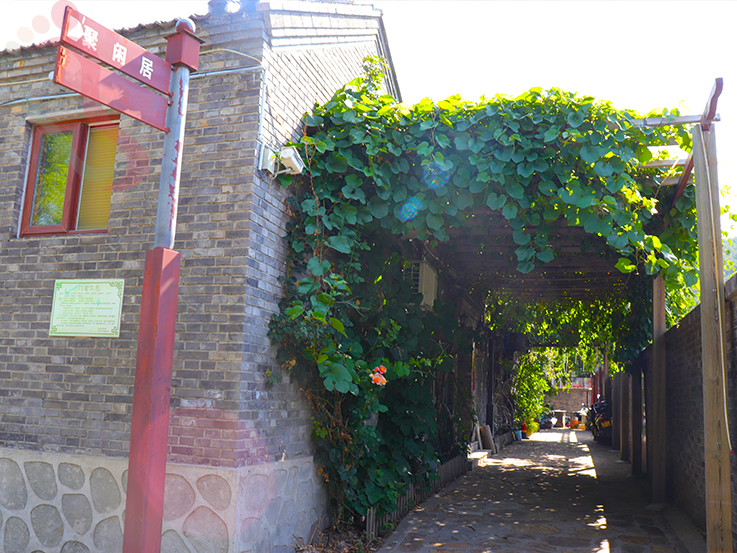 天津蓟县民宿梨木台聚闲居农家民宿-蓟县旅游九山顶农家院梨木台民宿 - 图片1