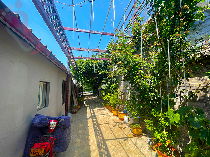 天津蓟县民宿梨木台聚闲居农家民宿-蓟县旅游九山顶农家院梨木台民宿 - 图片4