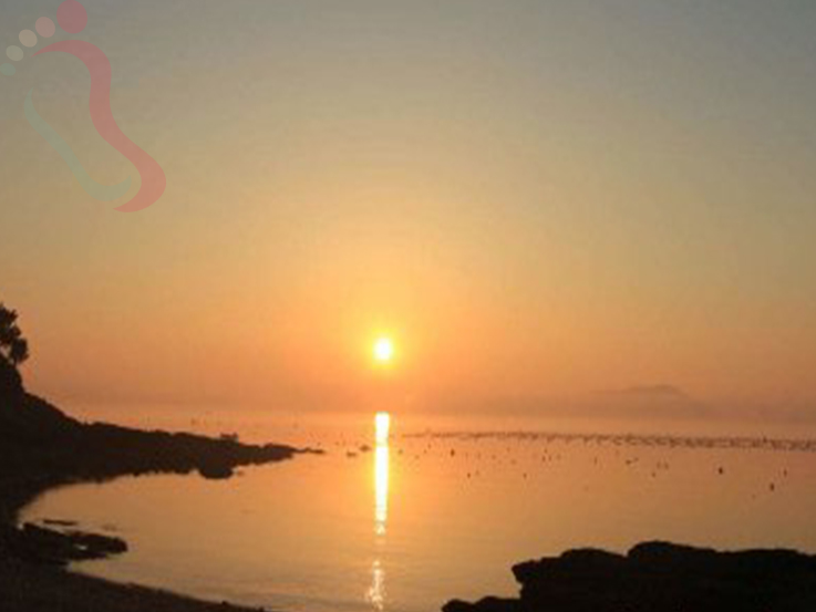 獐子岛英辉365渔家院 - 图片6