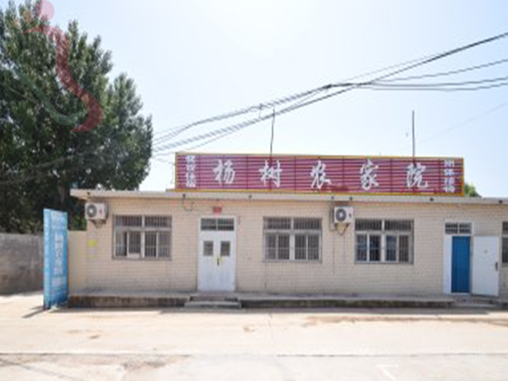 东戴河杨树农家院 - 图片1