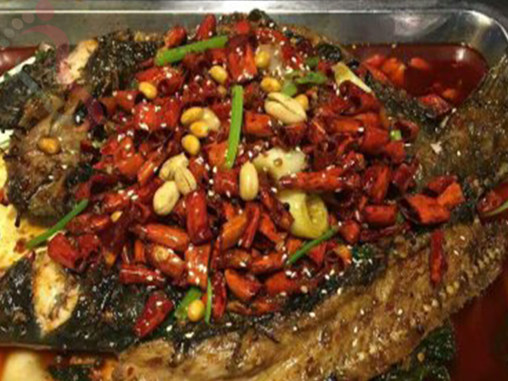 东戴河临海渔家 - 餐饮介绍