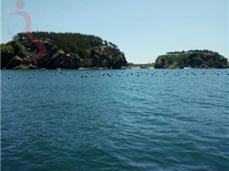 塞里岛海岛人家渔家旅店 - 周边游玩