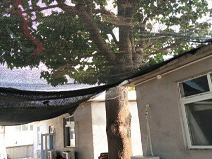 凤鸣岛小静度假村原休闲星海