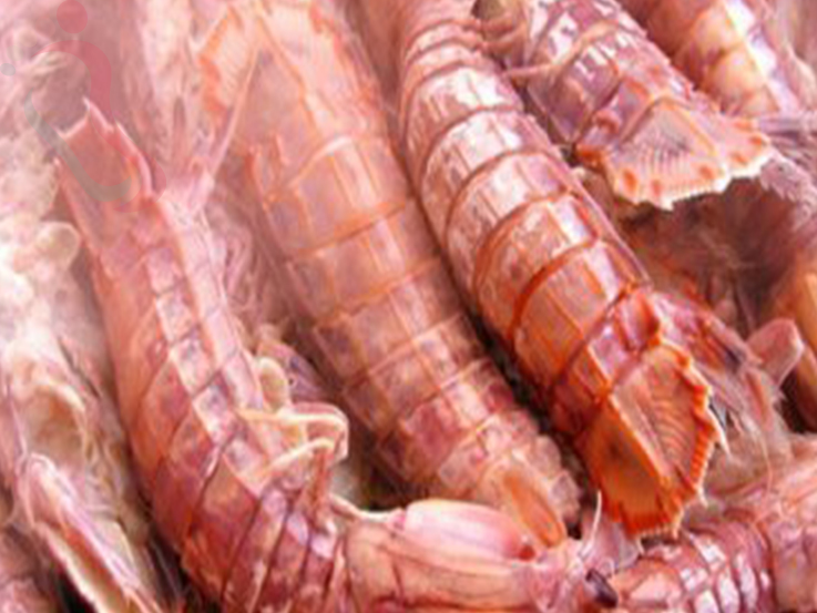 凤鸣岛小静度假村原休闲星海 - 图片4