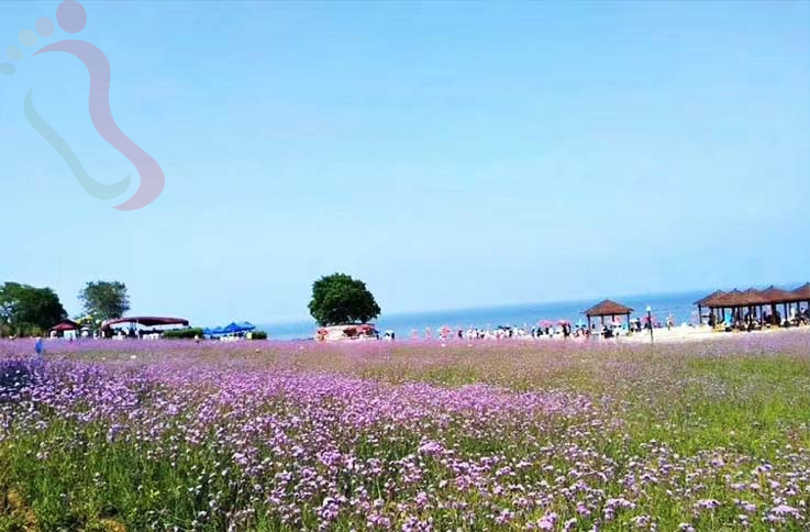 辽宁大连民宿葫芦岛渔家院东戴河民宿可心农家院-碣石海滩旅游葫芦岛民宿 - 周边游玩