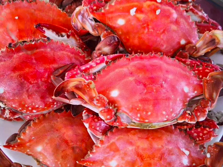 辽宁大连民宿葫芦岛渔家院东戴河民宿可心农家院-碣石海滩旅游葫芦岛民宿 - 图片9