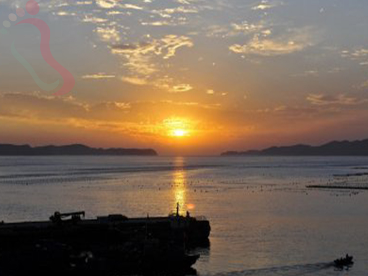 獐子岛英辉365渔家院 - 图片5