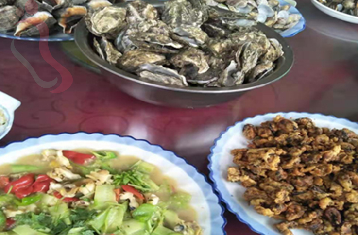 阳光海岸海边度假宾馆 - 图片5