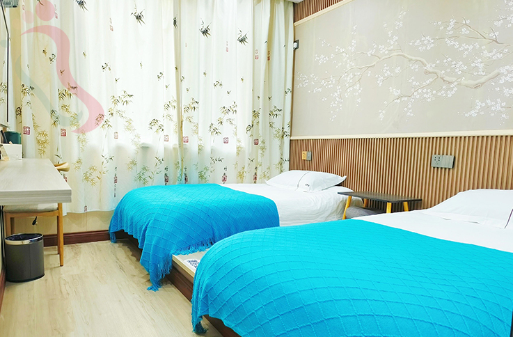 浙江安吉翡翠阁民宿房间图片3