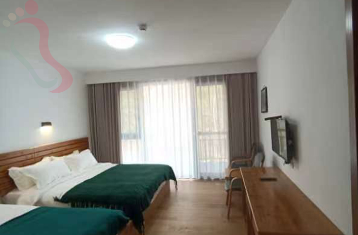 浙江安吉竹源山庄房间图片3