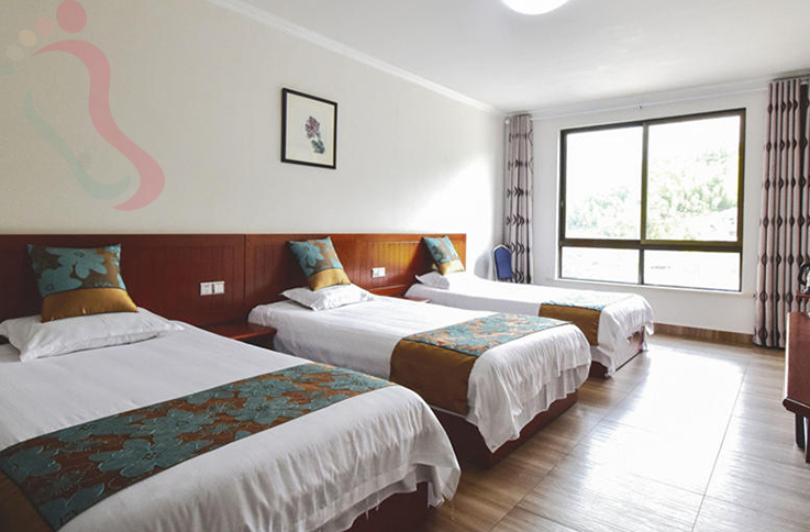 浙江安吉岸芷汀兰民宿房间图片3