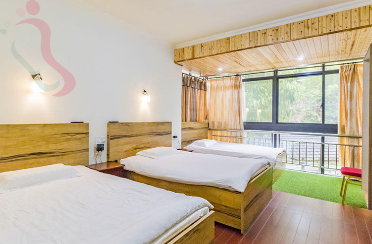 浙江安吉山野人家房间图片1