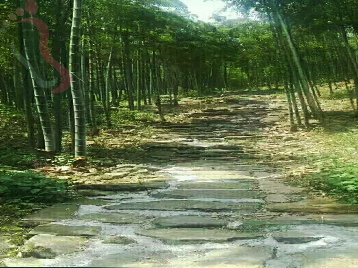 浙江安吉楠竹山庄 - 周边游玩