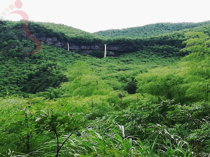 浙江安吉水滴穿石山庄 - 周边游玩