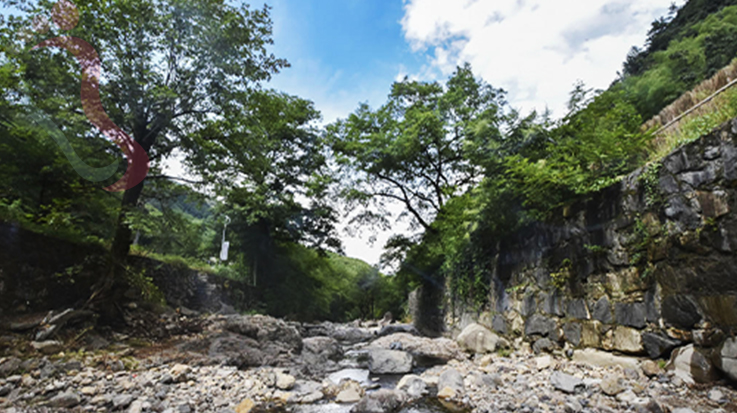 浙江安吉三也民宿 - 图片1