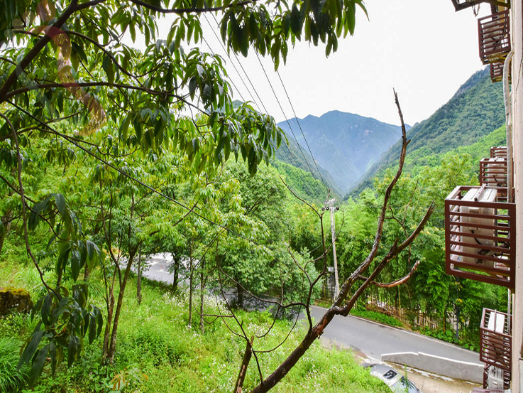 浙江安吉董岭大汉岭 - 图片1