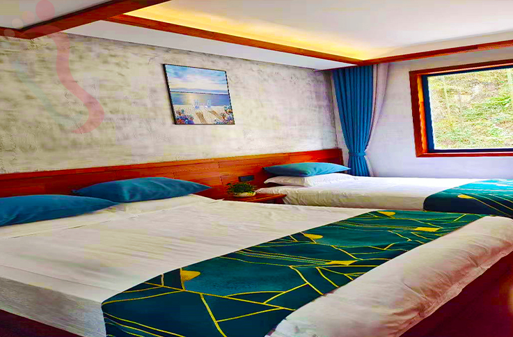 浙江安吉思竹山庄房间图片3