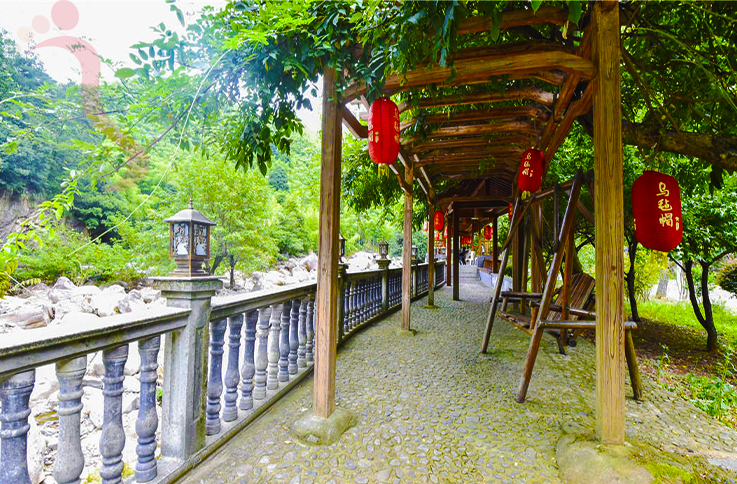 浙江安吉乾龙山庄 - 图片2