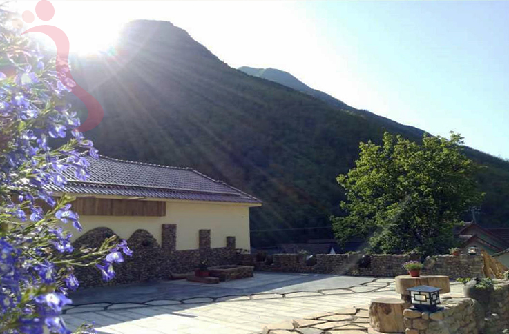 浙江安吉青石上 - 图片1