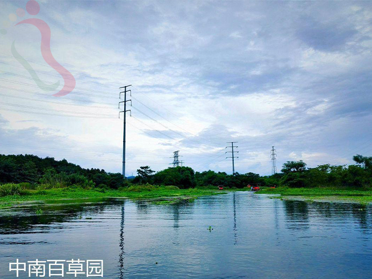 浙江安吉楚岚轩农家乐 - 周边游玩
