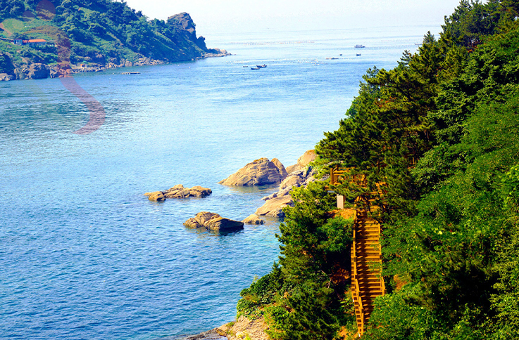 辽宁大连长海大长山岛民宿美丽海渔家院-大连旅游大长山岛渔家乐民宿汇 - 图片5