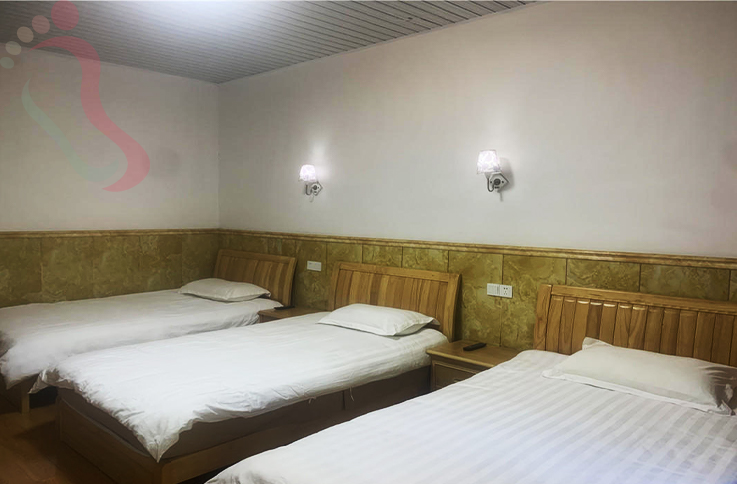 浙江安吉水蓝农家房间图片1