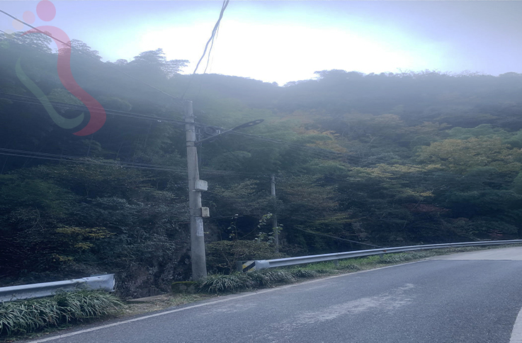 浙江安吉水蓝农家 - 图片1