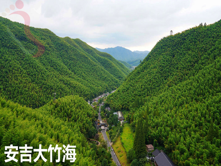 浙江安吉楚岚轩农家乐 - 周边游玩